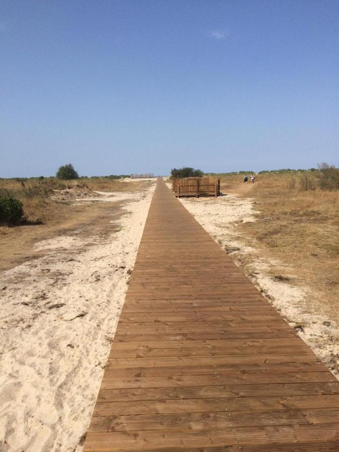 Strandgerste Schillig Zewnętrze zdjęcie